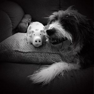 Meet your Posher, Deana